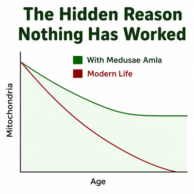 Mitochondria over time