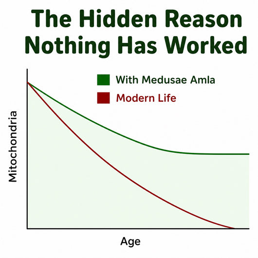 Mitochondria over time