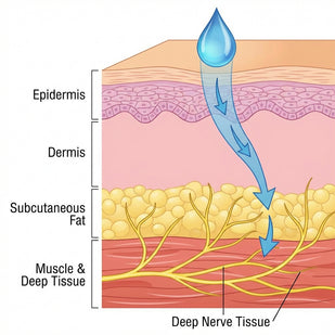 Feed Your Starving Nerves
